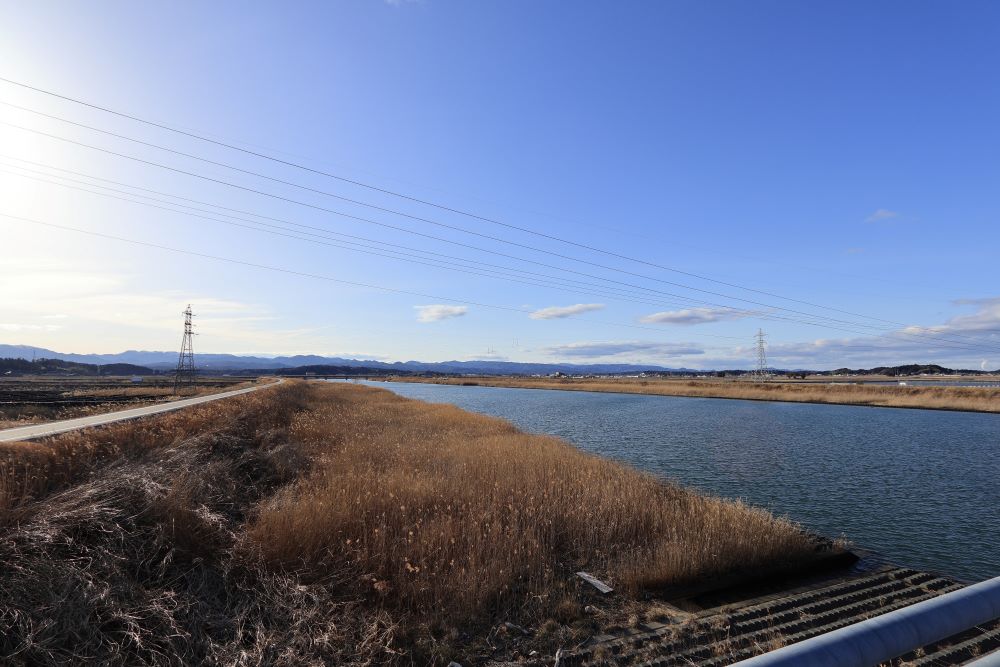 真島橋から真野川