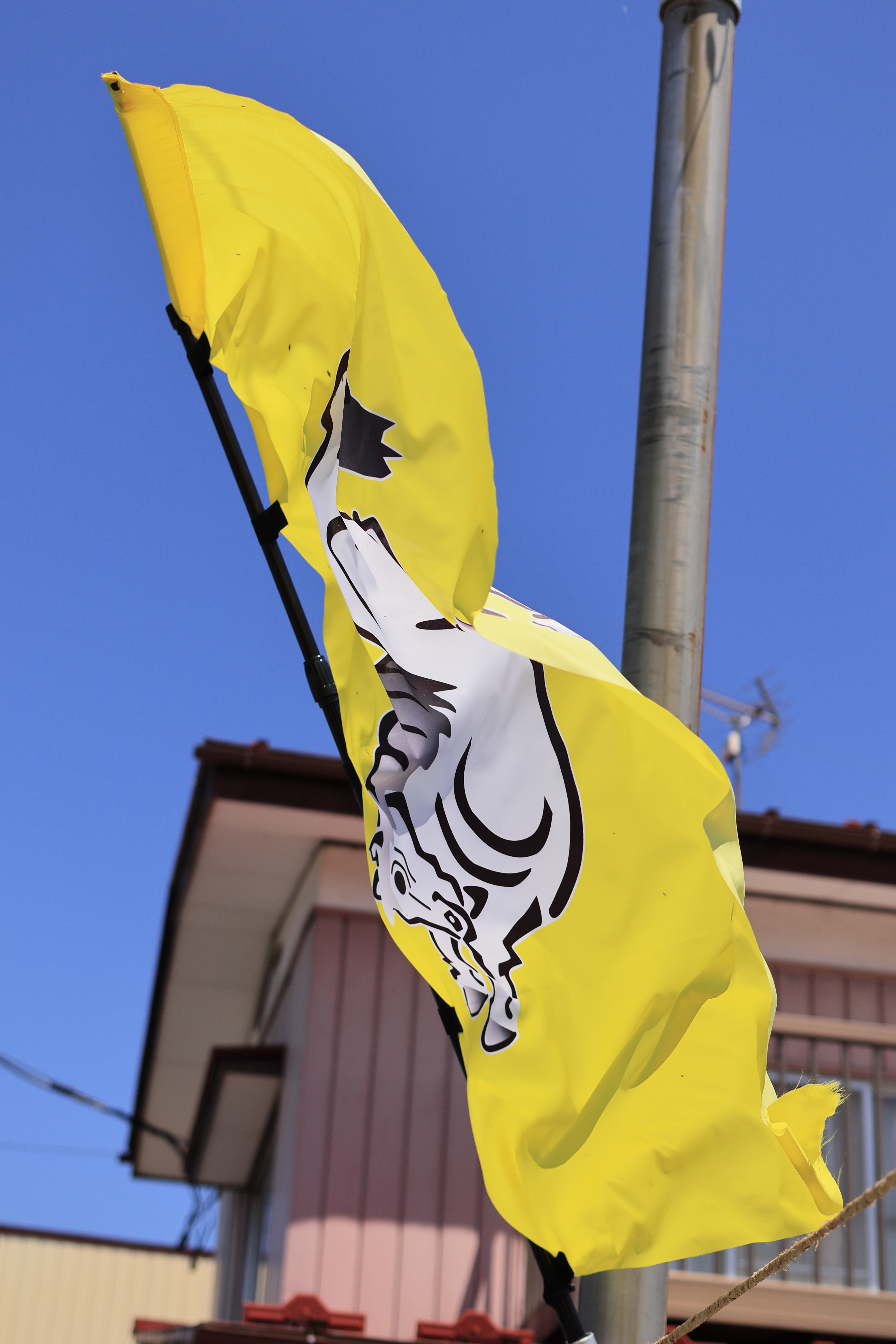 野馬追の日の鹿島区